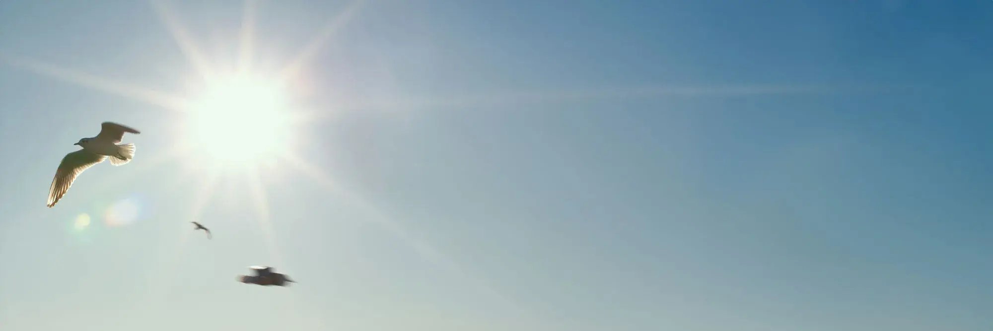 Stadtwerke-Stralsund-buehne