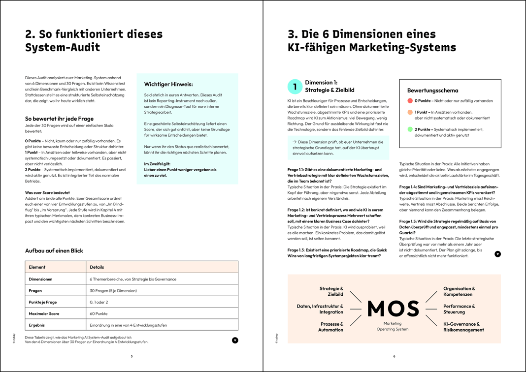 WP-DS-AI-System-Audit-Linie