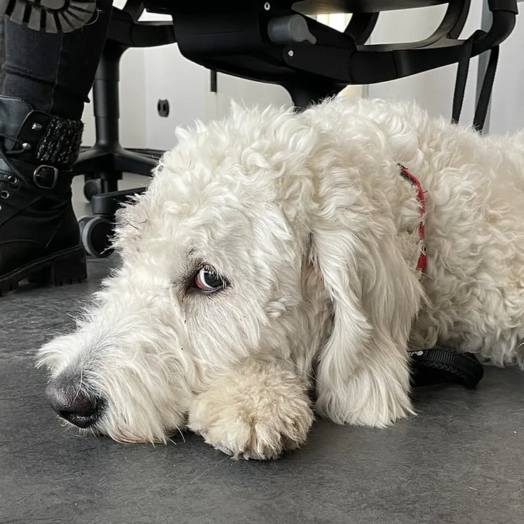 Agil und auf Augenhöhe