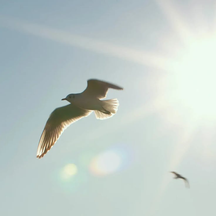 Stadtwerke Stralsund